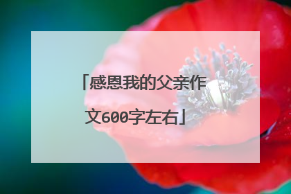 感恩我的父亲作文600字左右