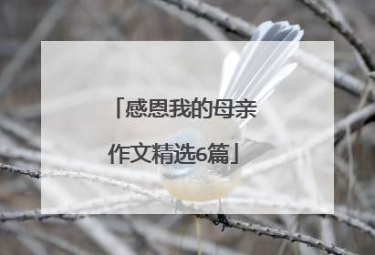 感恩我的母亲作文精选6篇
