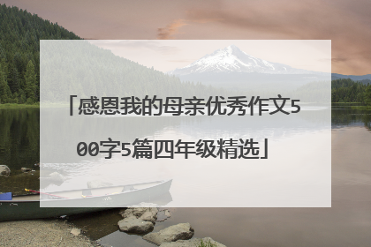 感恩我的母亲优秀作文500字5篇四年级精选