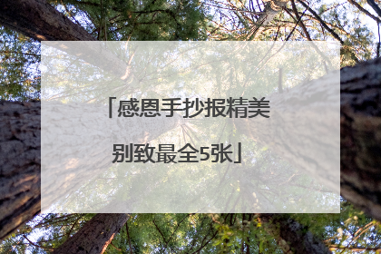 感恩手抄报精美别致最全5张