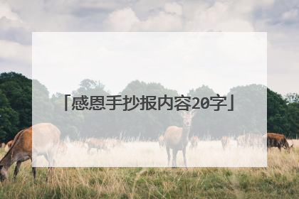 感恩手抄报内容20字