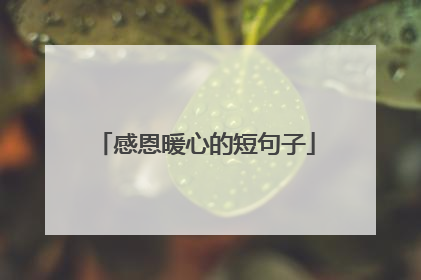 感恩暖心的短句子