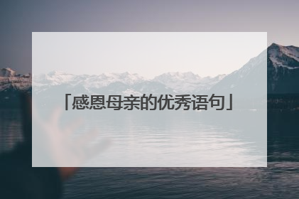 感恩母亲的优秀语句