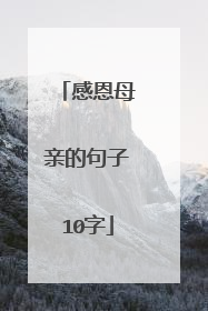 感恩母亲的句子10字