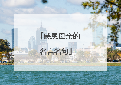 感恩母亲的名言名句