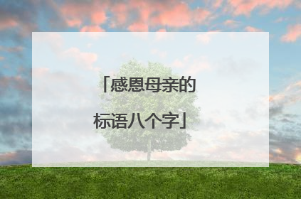 感恩母亲的标语八个字