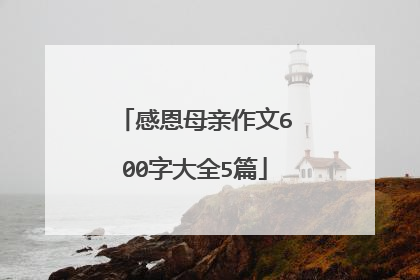 感恩母亲作文600字大全5篇