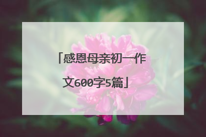 感恩母亲初一作文600字5篇