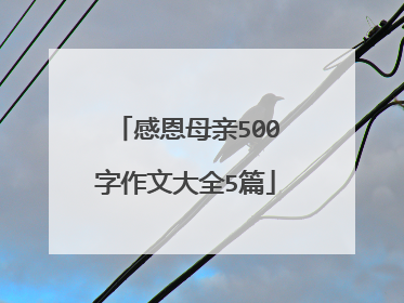感恩母亲500字作文大全5篇