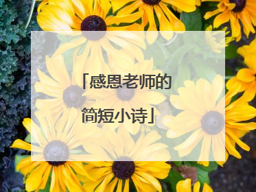 感恩老师的简短小诗