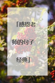 感恩老师的句子经典