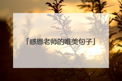 感恩老师的唯美句子