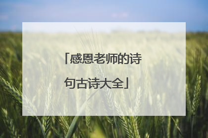 感恩老师的诗句古诗大全