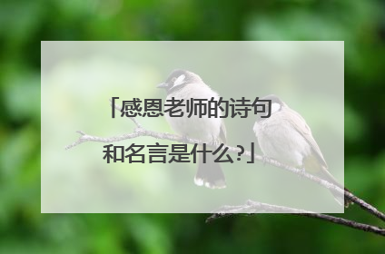 感恩老师的诗句和名言是什么?