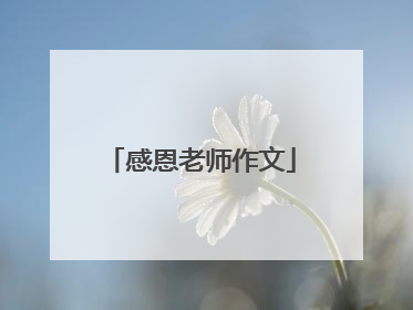 感恩老师作文