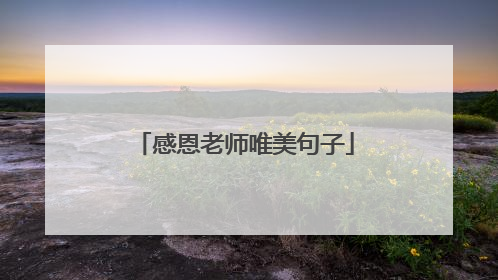 感恩老师唯美句子