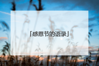 感恩节的语录