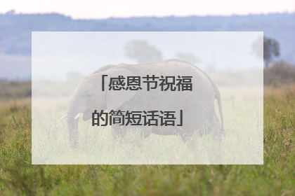 感恩节祝福的简短话语
