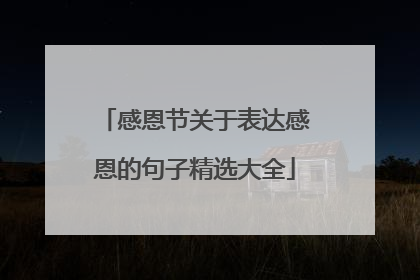 感恩节关于表达感恩的句子精选大全