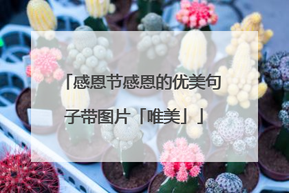 感恩节感恩的优美句子带图片「唯美」