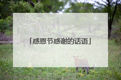感恩节感谢的话语