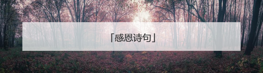 感恩诗句