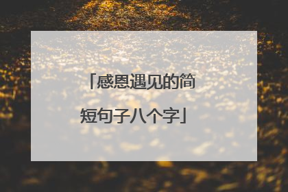 感恩遇见的简短句子八个字