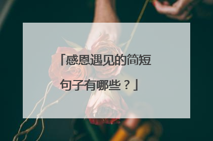 感恩遇见的简短句子有哪些？