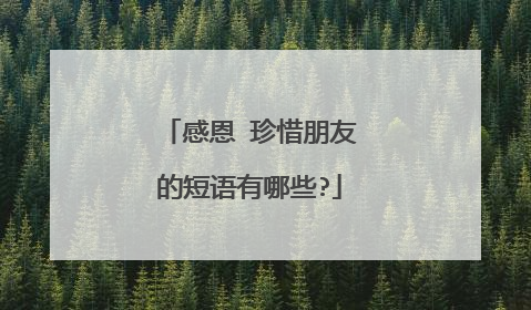 感恩 珍惜朋友的短语有哪些?