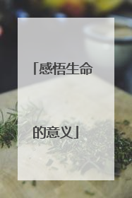 感悟生命的意义