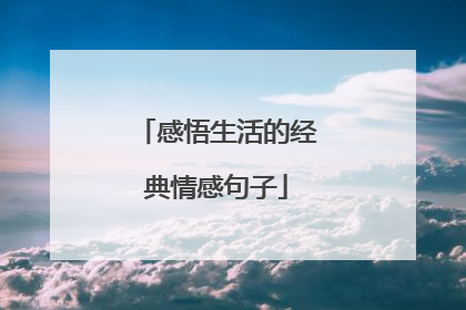 感悟生活的经典情感句子