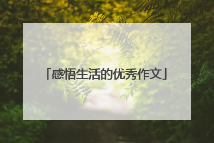感悟生活的优秀作文