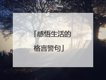 感悟生活的格言警句