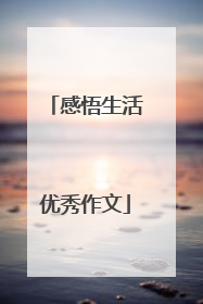 感悟生活优秀作文