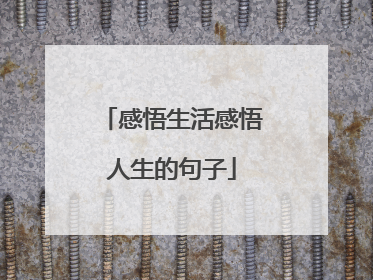感悟生活感悟人生的句子