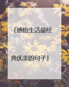 感悟生活最经典优美的句子