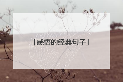 感悟的经典句子