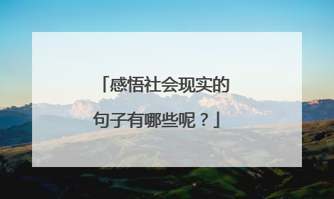 感悟社会现实的句子有哪些呢？