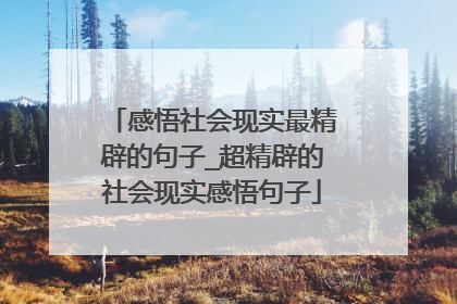 感悟社会现实最精辟的句子_超精辟的社会现实感悟句子