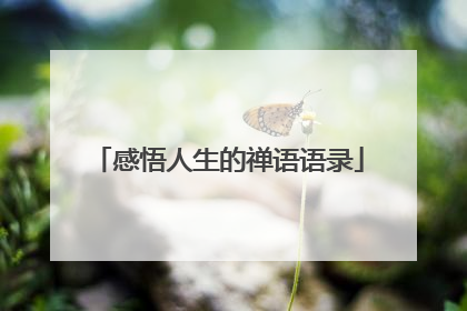 感悟人生的禅语语录