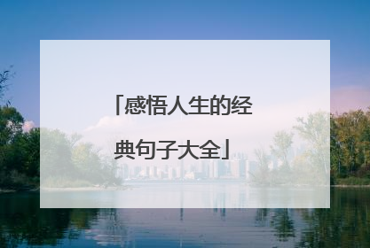 感悟人生的经典句子大全