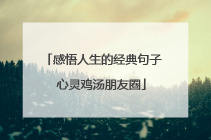 感悟人生的经典句子 心灵鸡汤朋友圈