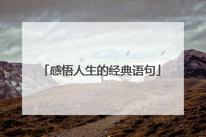 感悟人生的经典语句