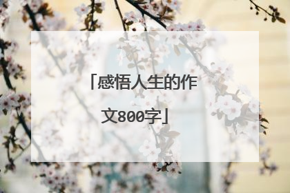 感悟人生的作文800字