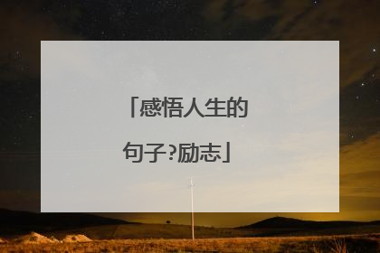 感悟人生的句子?励志