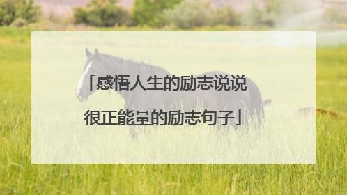 感悟人生的励志说说 很正能量的励志句子