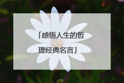 感悟人生的哲理经典名言