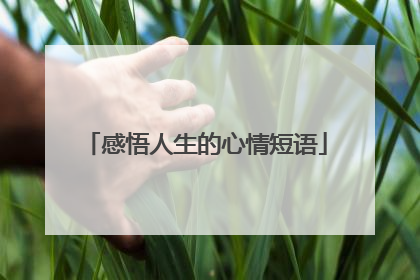感悟人生的心情短语