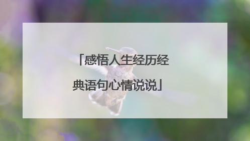 感悟人生经历经典语句心情说说