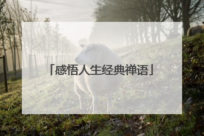 感悟人生经典禅语